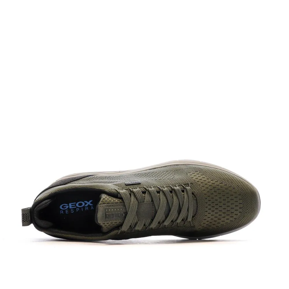 Baskets Kaki Homme Geox Sepherica